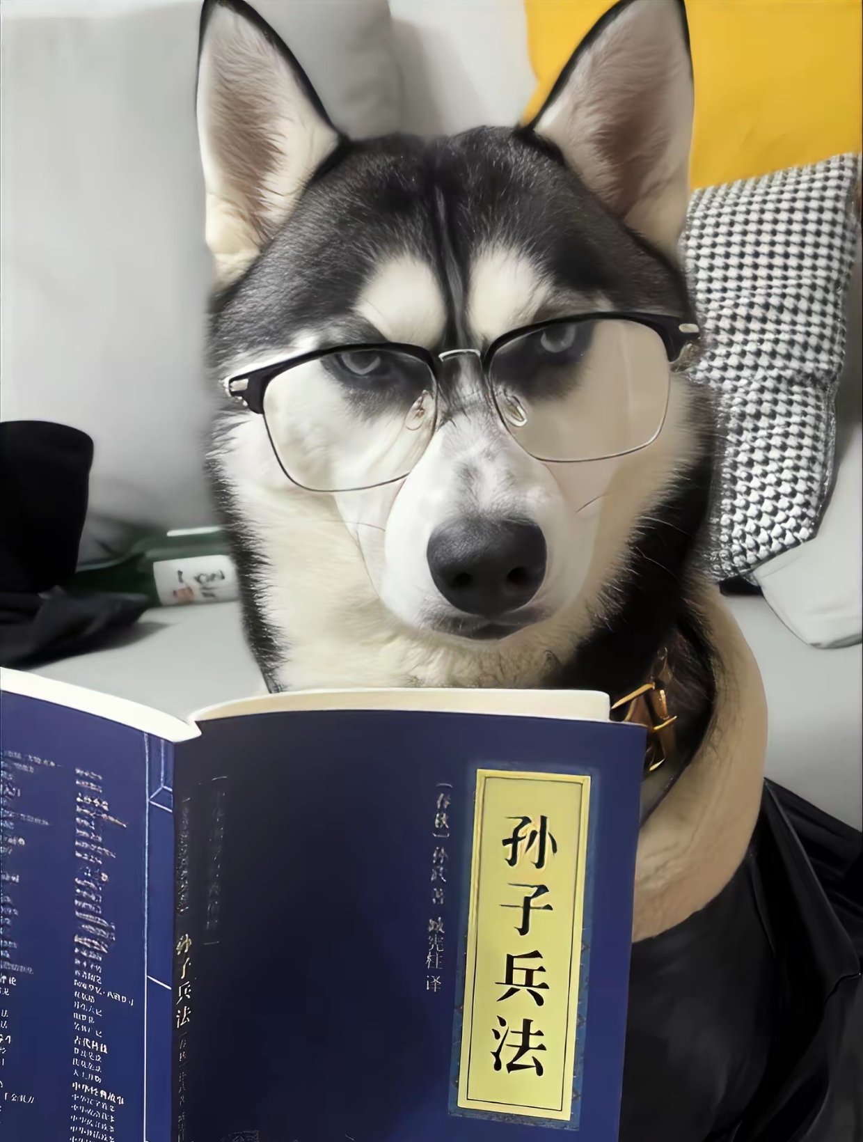 加载中